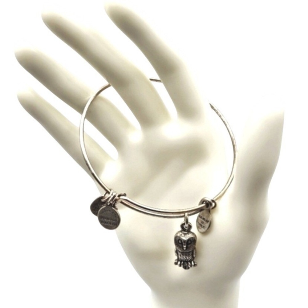 Alex and Ani Owl Charm Bangle Bracelet Expandable‎ Silver Tone